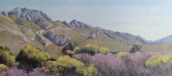 Langeberg Mountains near Montagu | 2021 | Oil on Canvas | 40 x 80 cm